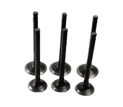 119515-11110 119515-11101 Valve IN-EX