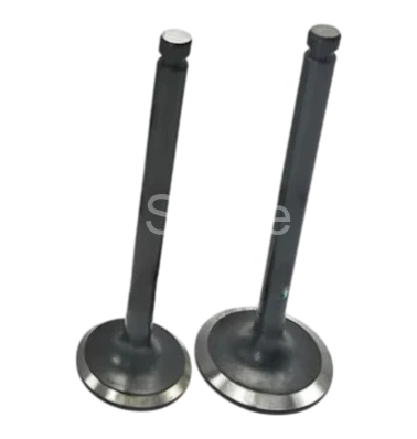 129103-13212 129105-14213 Valve IN-EX