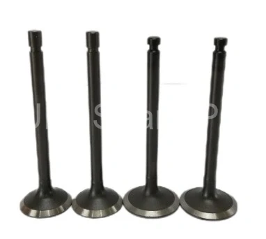 1C010-13120 1C010-13113 Valve IN-EX