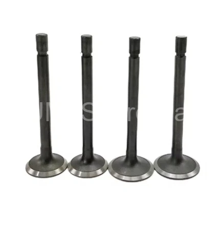 1G673-13112 1G673-13122 Valve IN-EX