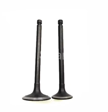 32C04-00100 32C04-01100 Valve IN-EX