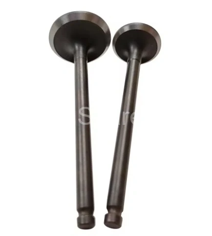 32L09-01010 32L08-01020 Valve IN-EX