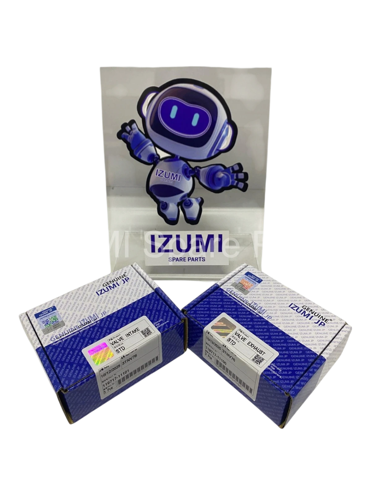 119717-11101/11100 Valve