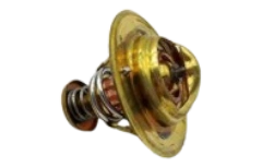 6D95 Thermostat GOLD