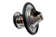 6D125-5 Thermostat 
