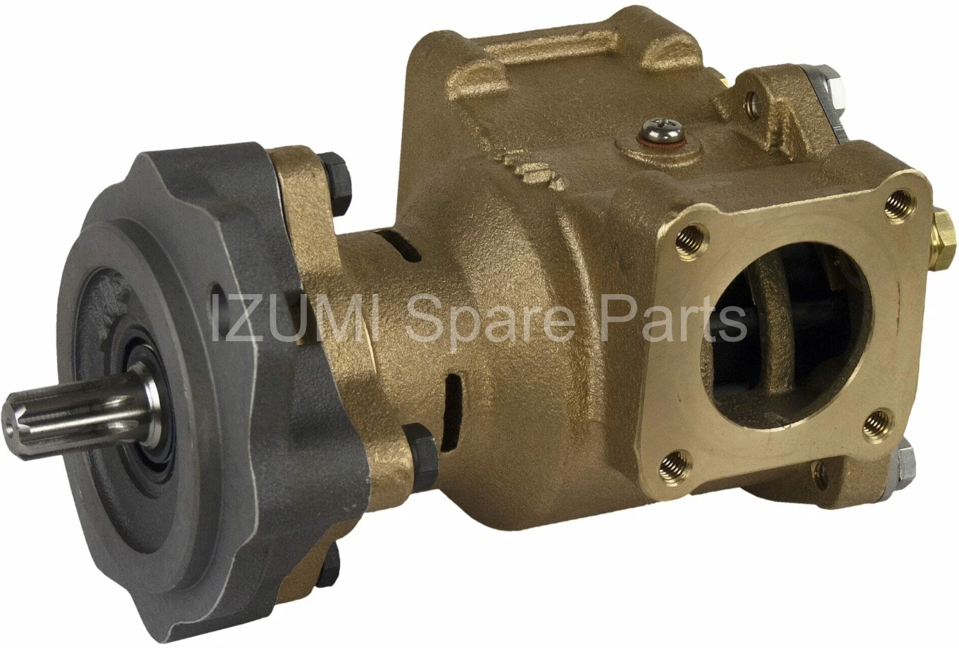  RE45458/ P1711/ P1719/ P1719-01/ P1719F-01/  P1719X/ 7619 Sea Water Pump