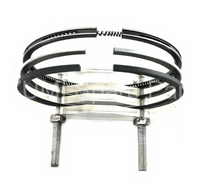 119813-22500 Piston Segmanı